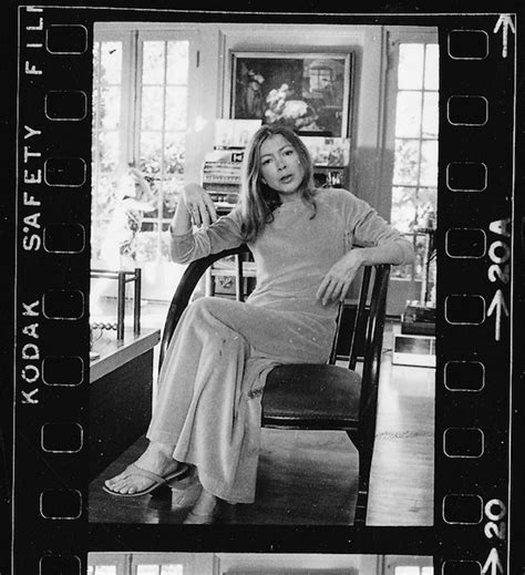 joan didion skirts